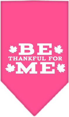 

Mirage Pet Products Bandana for Dog(Bright Pink