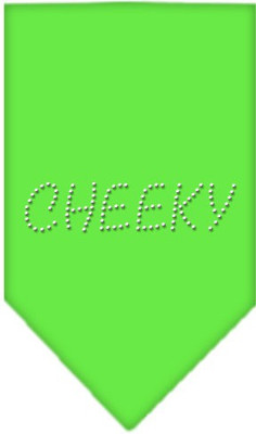 

Mirage Pet Products Bandana for Dog(Lime Green