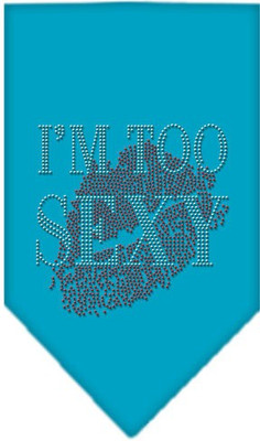 

Mirage Pet Products Bandana for Dog(Turquoise, Blue
