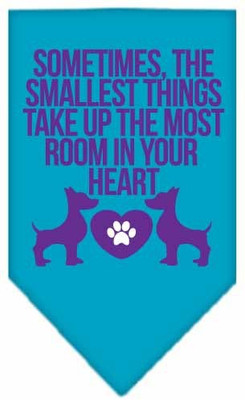 

Mirage Pet Products Bandana for Dog(Turquoise, Blue