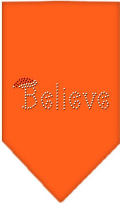 

Mirage Pet Products Bandana for Dog(Orange