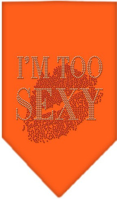 

Mirage Pet Products Bandana for Dog(Orange
