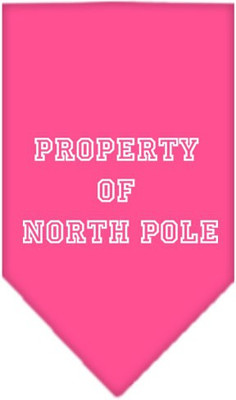 

Mirage Pet Products Bandana for Dog(Bright Pink