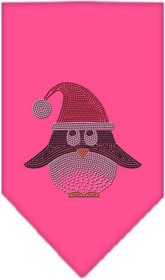 

Mirage Pet Products Bandana for Dog(Bright Pink
