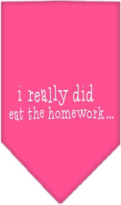 

Mirage Pet Products Bandana for Dog(Bright Pink