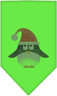 

Mirage Pet Products Bandana for Dog(Lime Green