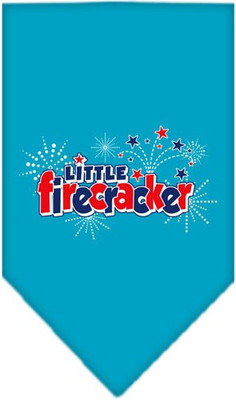 

Mirage Pet Products Bandana for Dog(Turquoise, Blue