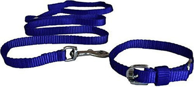 

Furious3D Small Pet Type (Blue) Dog Collar & Leash(, BLUE