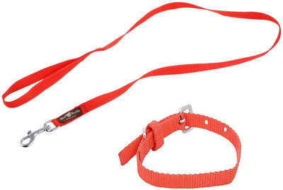 

Furious3D Dog Collar & Leash(, RED
