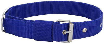 

Furious3D Dog Everyday Collar(, BLUE