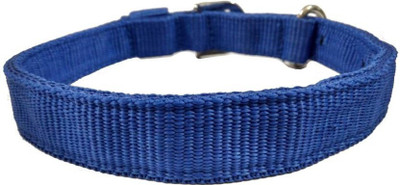 

Furious3D Dog Everyday Collar(, BLUE