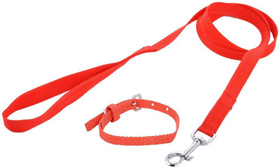 

Furious3D Dog Collar & Leash(, RED