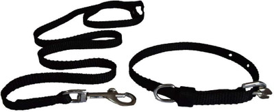 

Furious3D Dog Collar & Leash(, Black