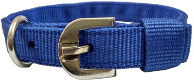 

Furious3D Dog Everyday Collar(, BLUE