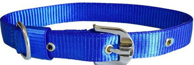 

Furious3D Dog Everyday Collar(, BLUE