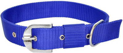 

Furious3D Dog Everyday Collar(, BLUE