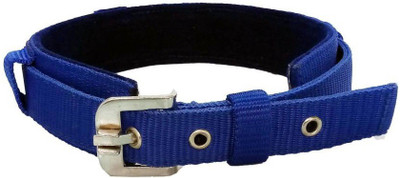 

Furious3D Dog Everyday Collar(, BLUE