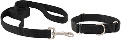 

Furious3D Dog Collar & Leash(Extra Small, Black)