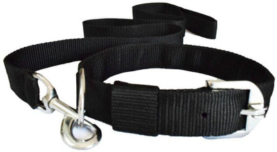 Furious3D Dog Collar & Leash(, Black