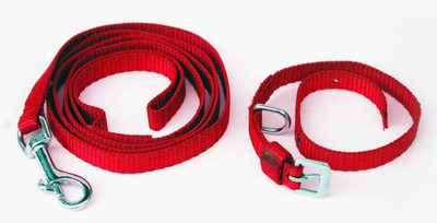Furious3D Dog Collar & Leash(, RED