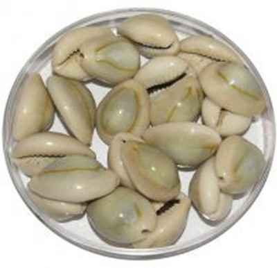 

Hind Home aquarium substrate Shale Unplanted Substrate(White)