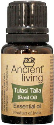 

Ancient Living Basil Essential Oil-10ml(Set of 2)(20 ml)