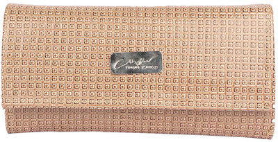 

Aliado Casual Beige Clutch