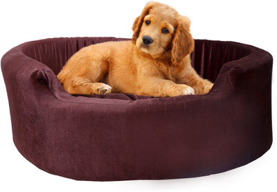 

Amit Brothers AB03 L Pet Bed(Brown)