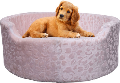 

Amit Brothers AB40 S Pet Bed(White)