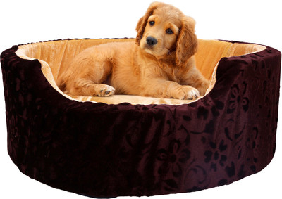 

Amit Brothers AB14 M Pet Bed(Brown)