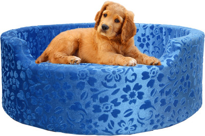 

Amit Brothers AB07 S Pet Bed(Blue)