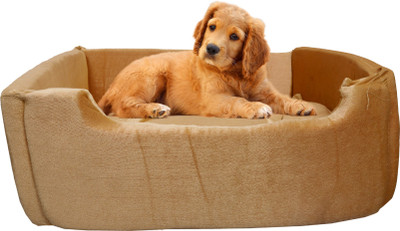 

Amit Brothers AB35 M Pet Bed(Gold)