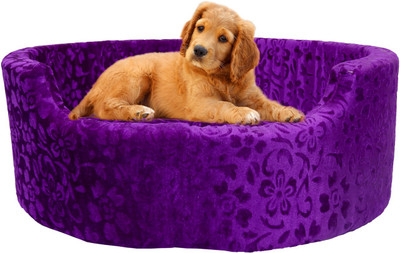 

Amit Brothers AB09 S Pet Bed(Purple)