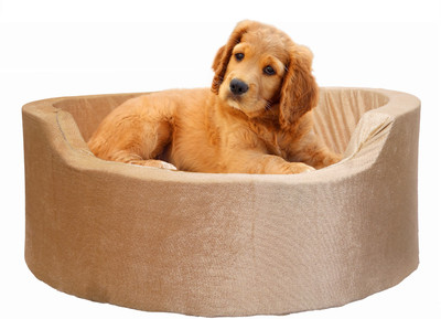 

Amit Brothers AB02 L Pet Bed(Beige)