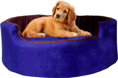 

Amit Brothers AB19 S Pet Bed(Blue)