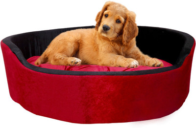 Amit Brothers AB21 L Pet Bed(Red)