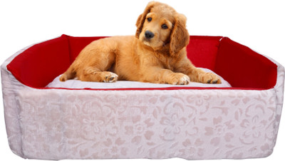 

Amit Brothers AB52 L Pet Bed(White)