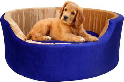 Amit Brothers AB12 S Pet Bed(Blue)