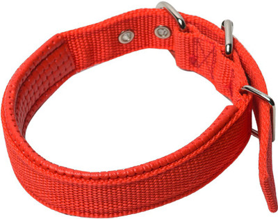 Furious3D Dog Collar & Leash(, Red