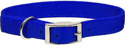 

Furious3D Dog Everyday Collar(, BLUE