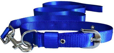 Furious3D Dog Collar & Leash(, BLUE