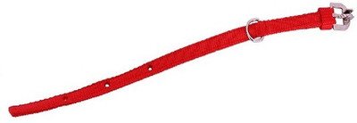 

Furious3D Dog Everyday Collar(, REd