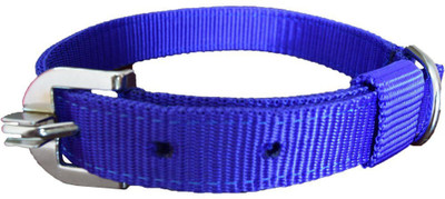 Furious3D Dog Everyday Collar(, BLUE
