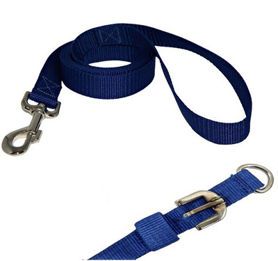 

Furious3D Dog Collar & Leash(, BLUE