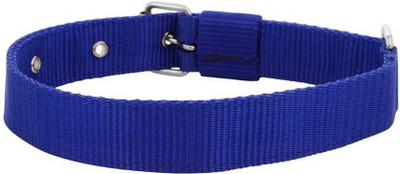 

Furious3D BLUCLRXSMN1 Dog Everyday Collar(, BLUE