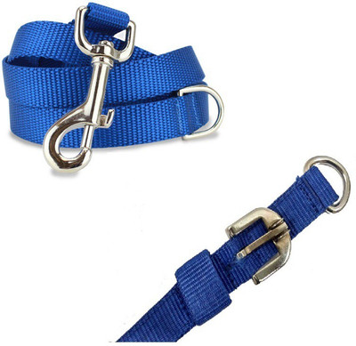 

Furious3D Dog Collar & Leash(, BLUE