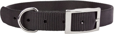 

Furious3D Dog Everyday Collar(, Black