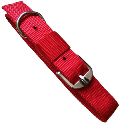 

Furious3D Dog Everyday Collar(, REd