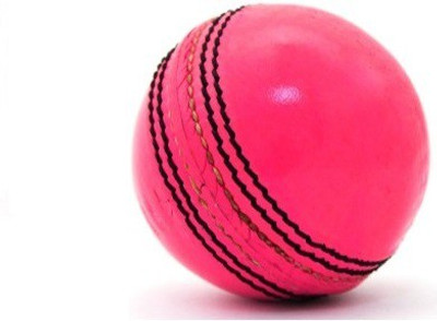 

ssb leather ball Cricket Leather Ball(Pack of 1, Pink)
