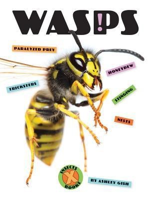 Wasps(English, Paperback, Gish Ashley)